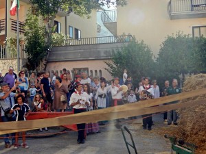 treb Tornimparte (47)